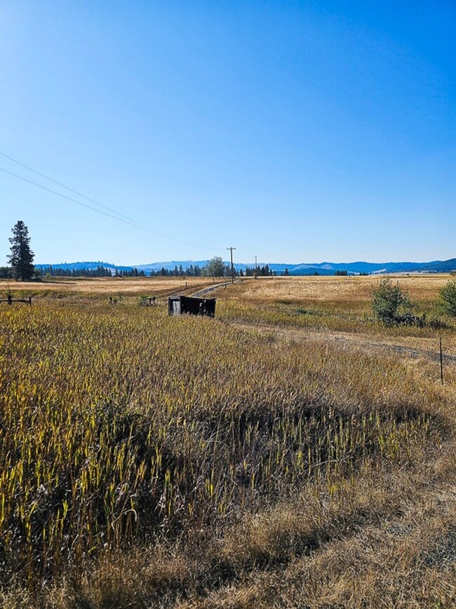 Building Photo - 2001 Manufactured Home on 160 Acre Farm ne...