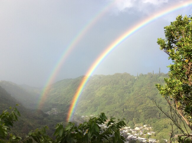 View up the valley - 3098 Wailani Rd