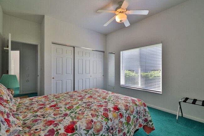 Building Photo - Sunrises with the Dolphins! Large Spacious...