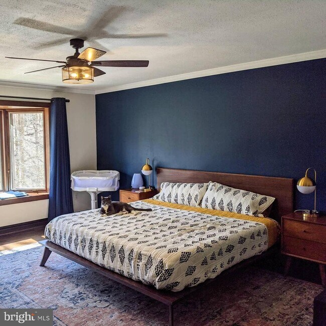 Building Photo - 10264 Greystone Rd