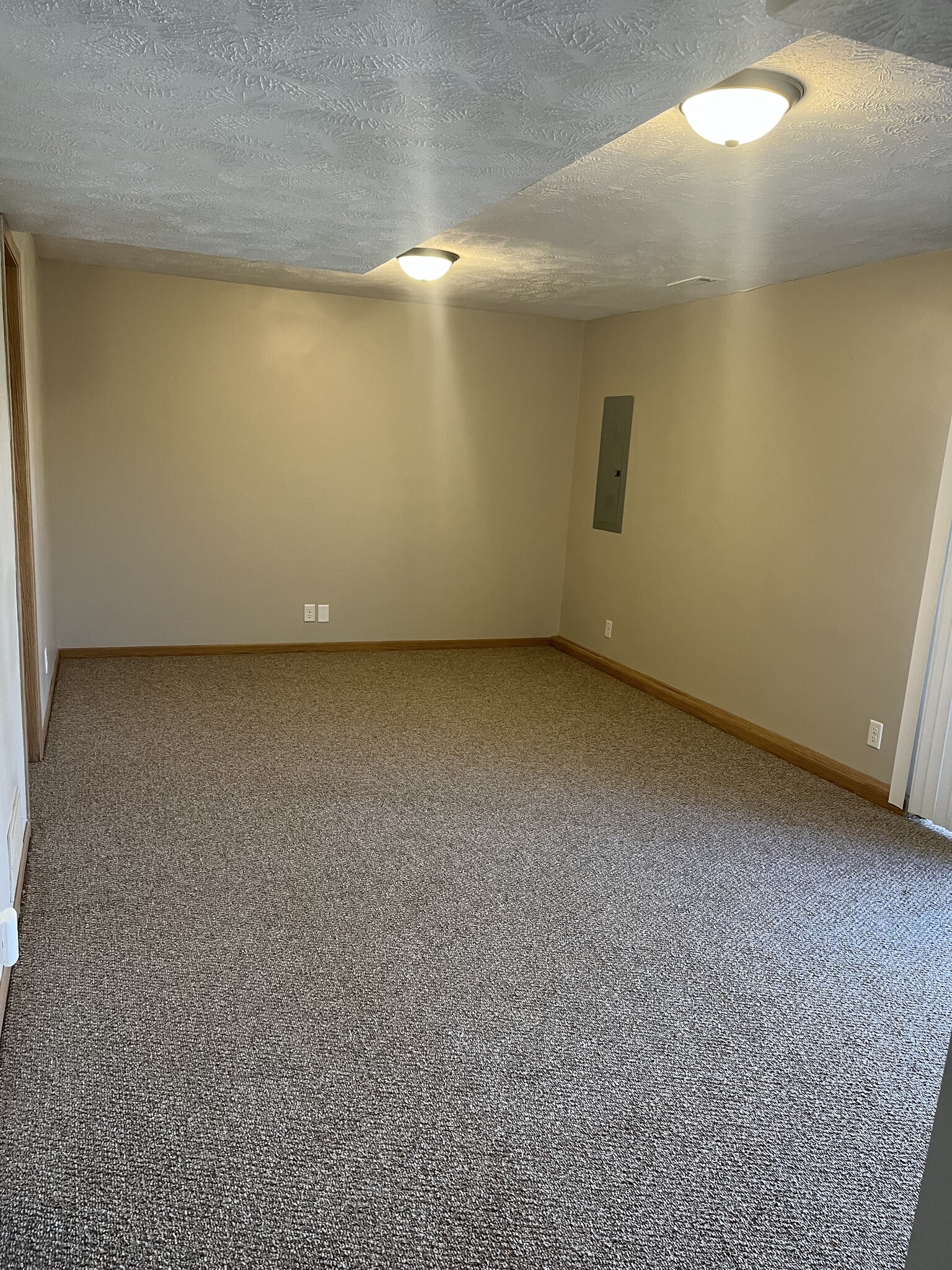 Basement Living Room - 300 W Benton St