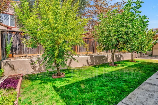 Building Photo - 1709 Campanula Dr