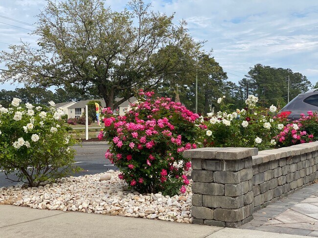 Building Photo - Two bedroom 2 bath apartment available for...