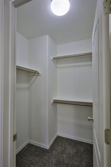 Building Photo - SUPER LARGE HOME COMING SOON!! Add your na...