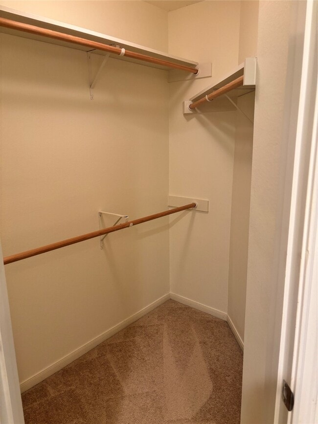 Building Photo - 16 Scarlet Woods Ct
