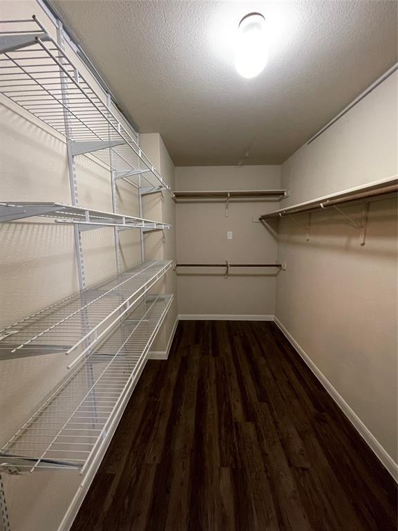 Building Photo - 7817 Duber Ln