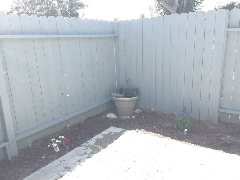 Backyard - 502 17th St