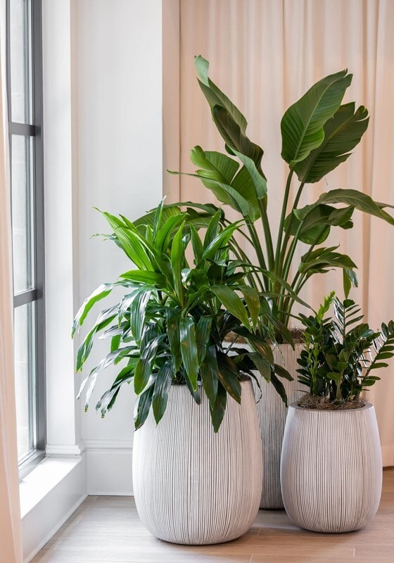 Building Photo - Modern 3-Bedroom Apartment with Smart Home...