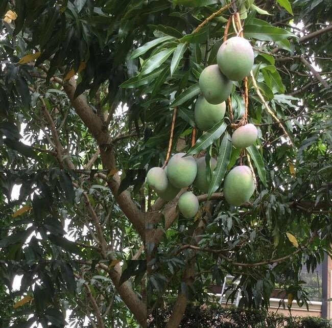 Building Photo - 9331 Southern Breeze Dr