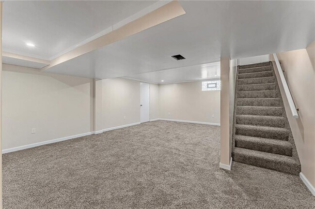 Lower Level - 613 Springdale Dr