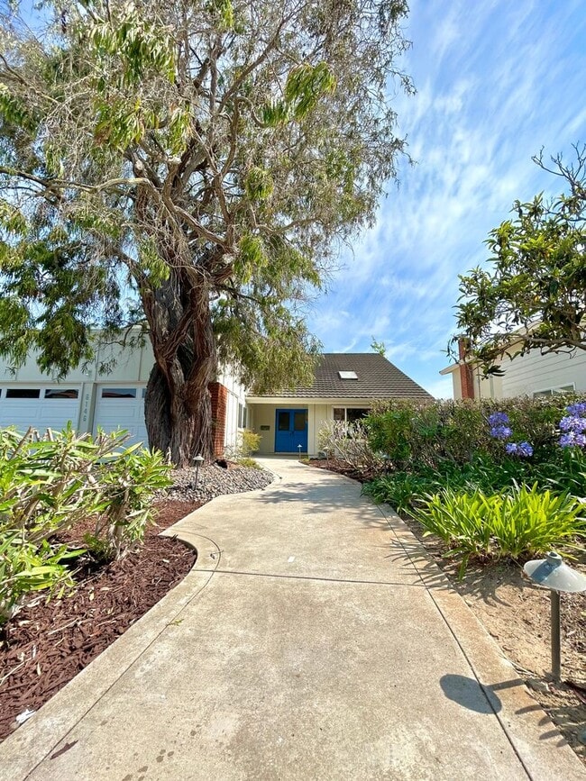 Building Photo - Beautiful fully remodeled home in sunny San Diego!