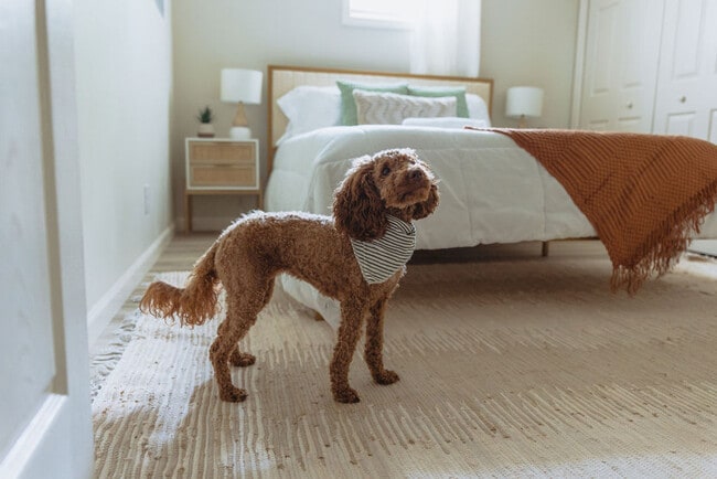 Building Photo - 308 Lamont St