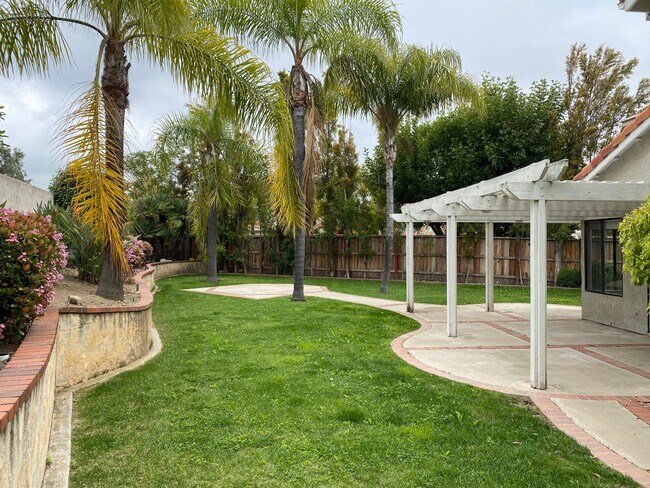 Building Photo - Single Story RSM house with HUGE yard!