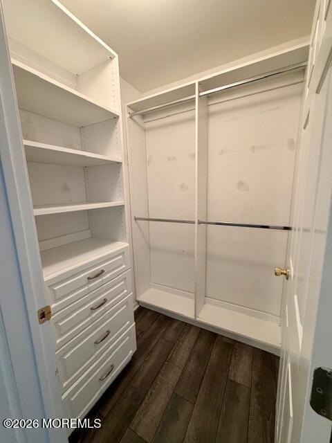 Building Photo - 146 Heron Ct