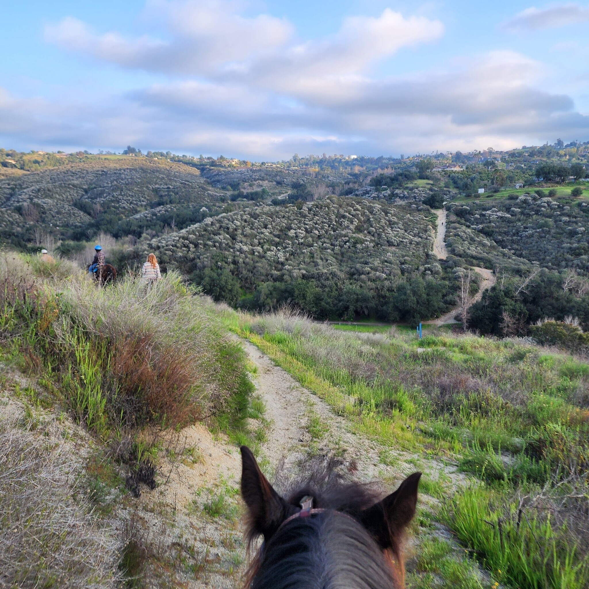 Building Photo - 2029 Willow Glen Rd