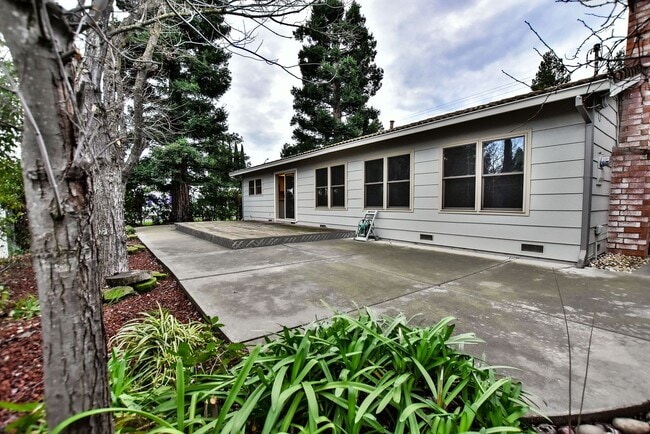 Building Photo - 498 Nut Tree Ct