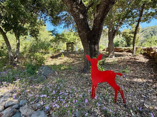 Building Photo - 321 Dutch Henry Canyon Rd