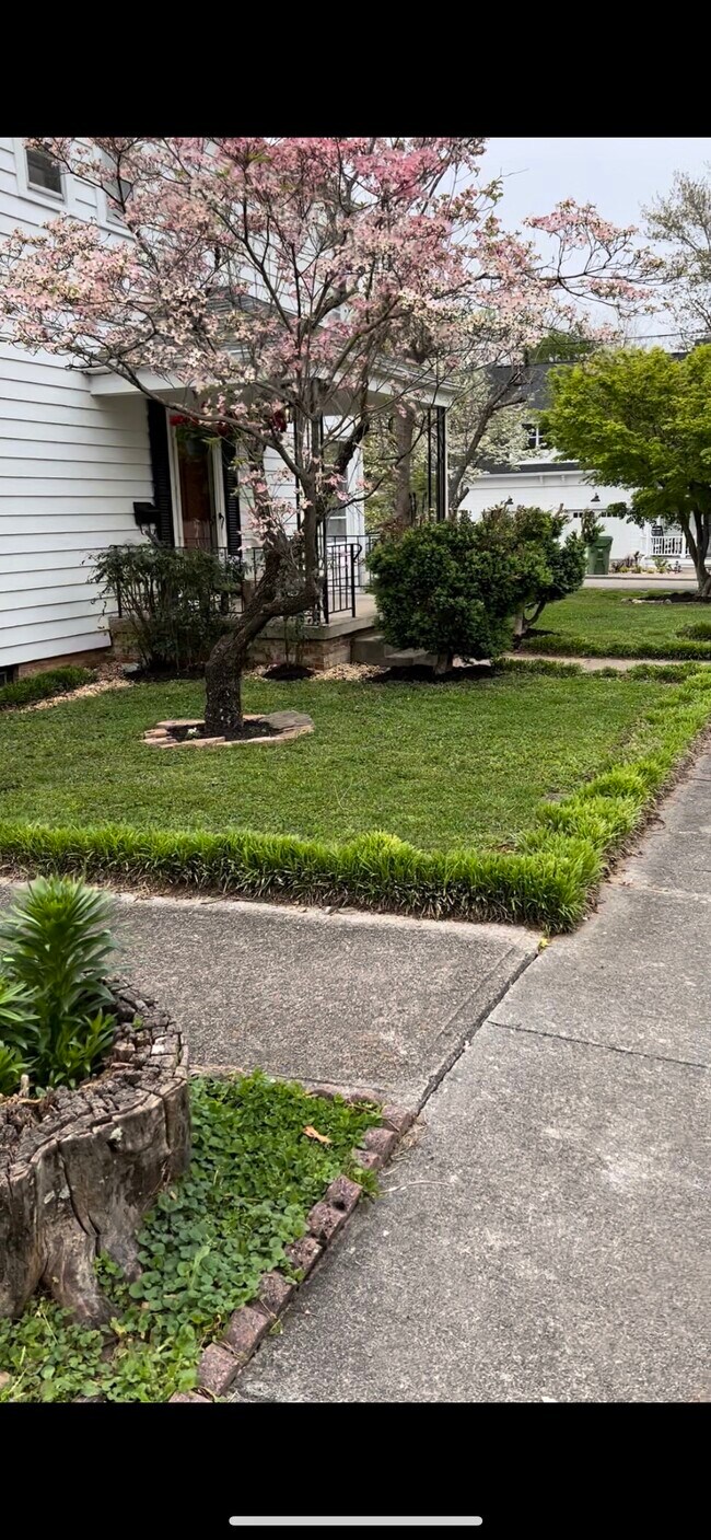 Building Photo - 703 Clark St