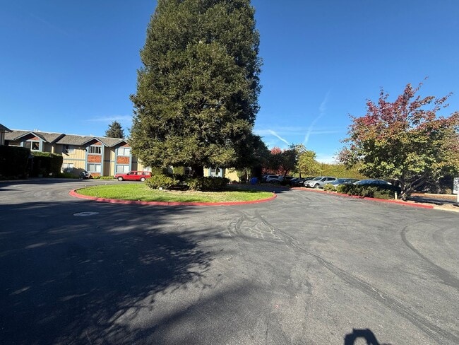 Primary Photo - 50% off 1st Months Rent! Low income 62+ 1 bedroom at Vista Prieta!