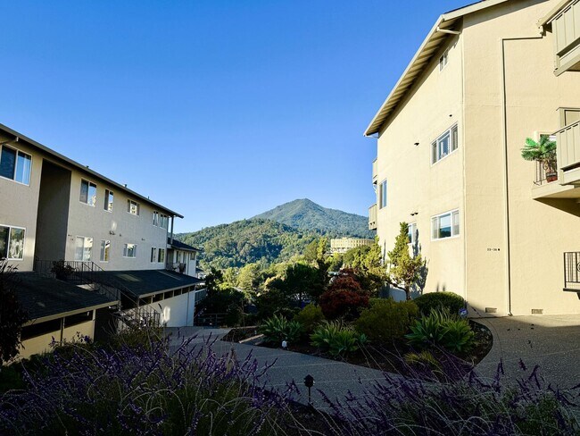 Building Photo - 4 bed, 2.5 bath top floor corner unit cond...