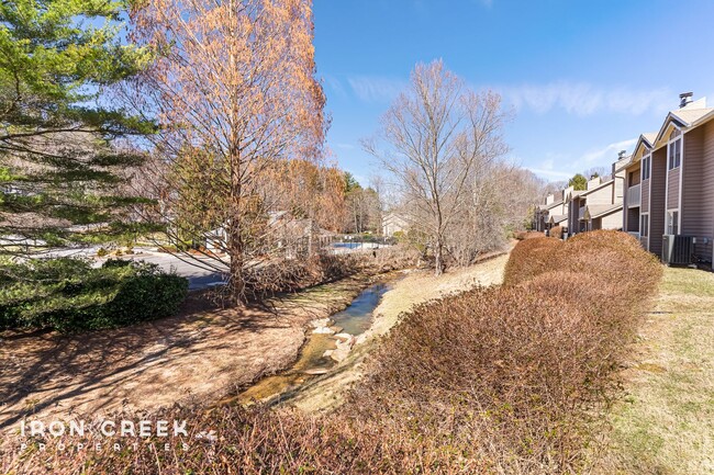 Building Photo - Newly Remodeled 2-Bed Condo in Asheville