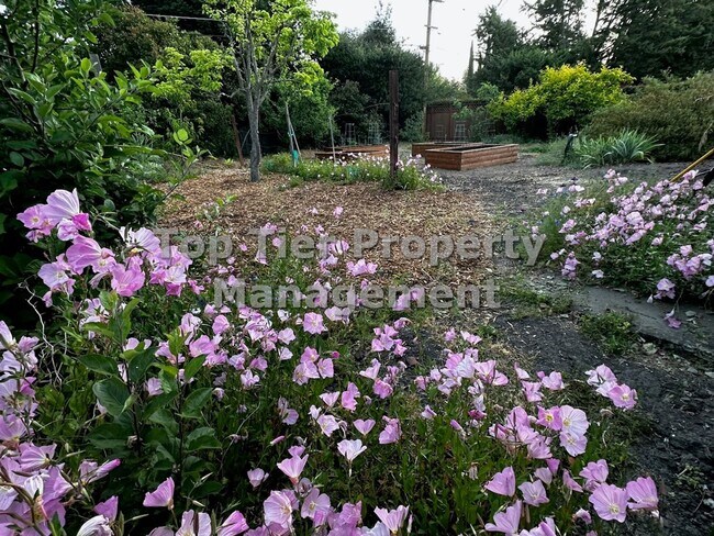 Building Photo - Spectacular 4 Bd/3 Ba, 2379 sf (plus separate structure ideal for office), single-family house in...