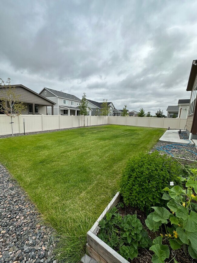 Building Photo - ---UPGRADED HOUSE---Single family house in Parker