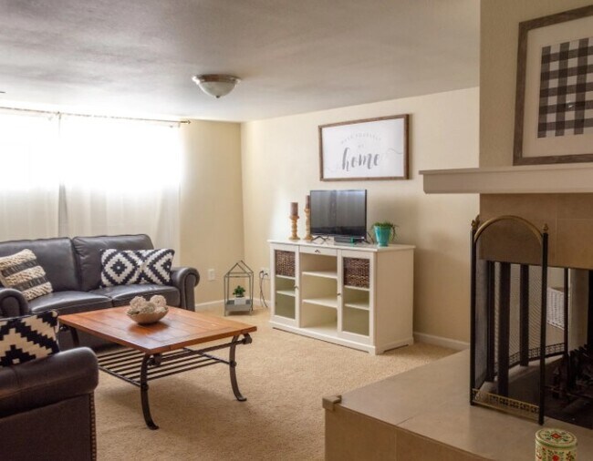 Basement Living Room - 1819 S Woodlawn St