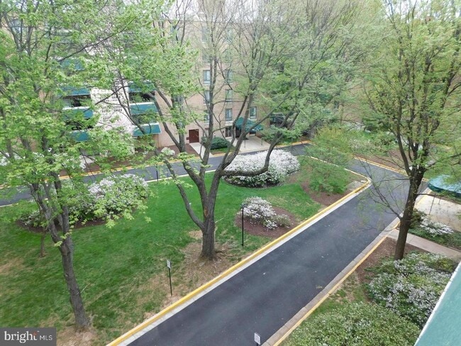 Building Photo - 6147 Leesburg Pike