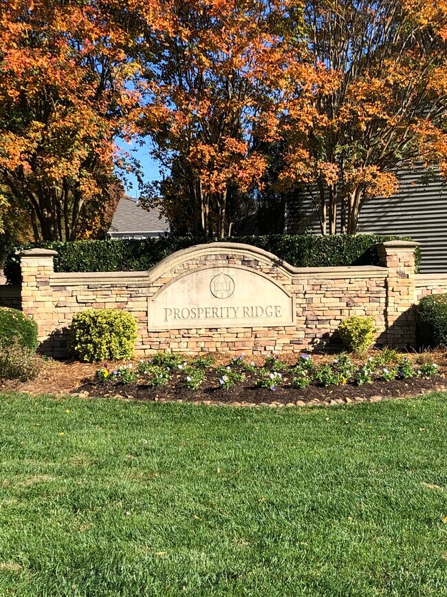 Community Entrance - 5029 Prosperity Ridge Rd