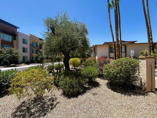 Building Photo - Prime Scottsdale Location! 2 bed 1.5 bath with community pool