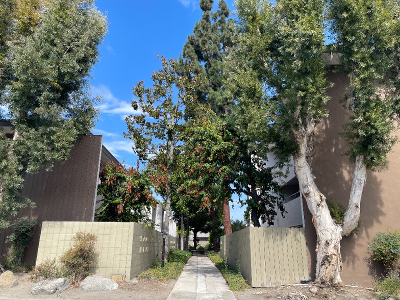 Building Photo - 1590 W Palm Ln