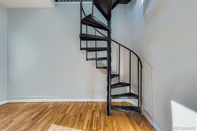 Building Photo - 3515 N Williams St