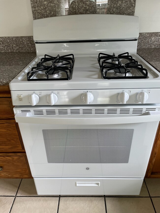 Building Photo - 1008 Shadow Ridge Dr