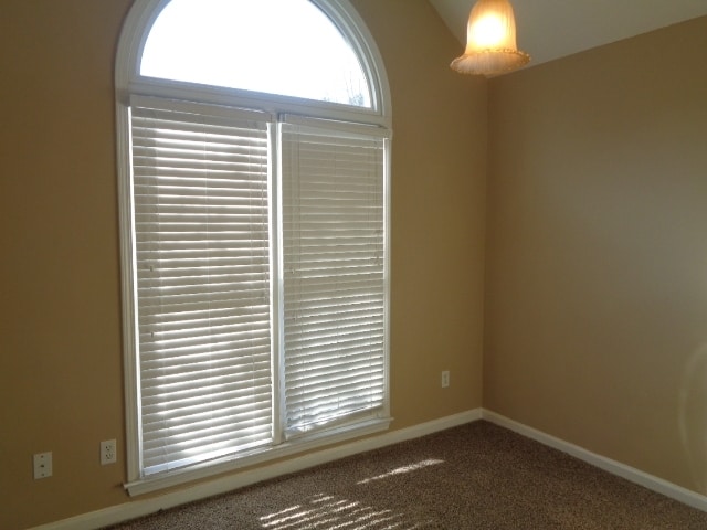 Building Photo - 294 Spruce Glen Cv