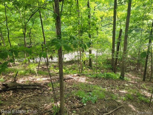 Building Photo - 1716 Deepwood Cir