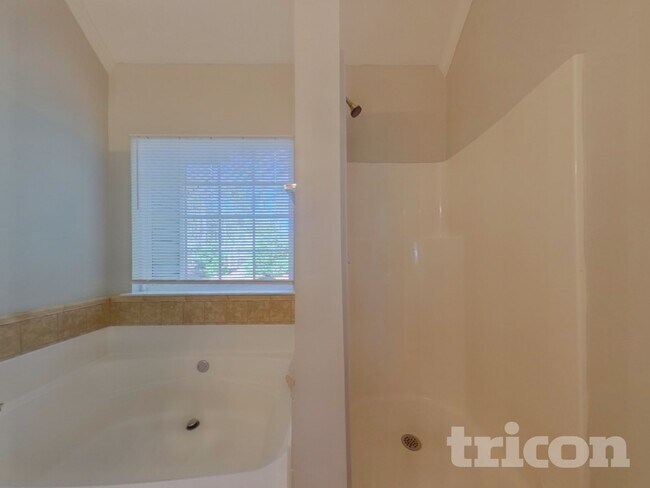 Building Photo - 162 Meadow Spring Ct