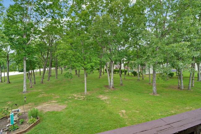 Building Photo - 40 Wilshire Heights Dr