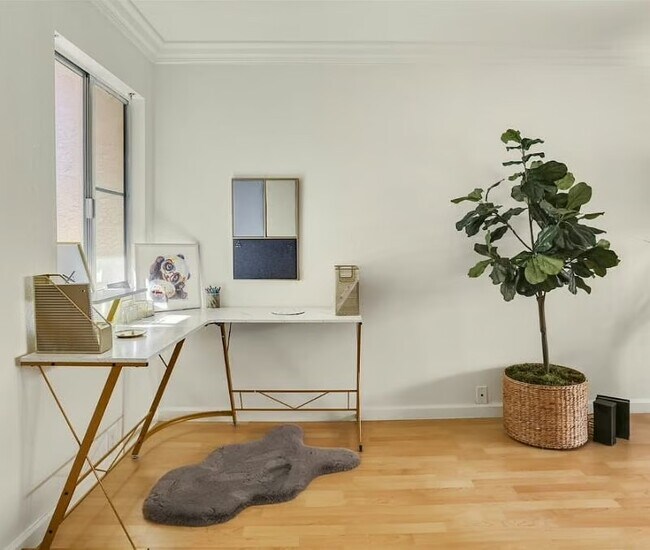 Building Photo - Sunrise Condo