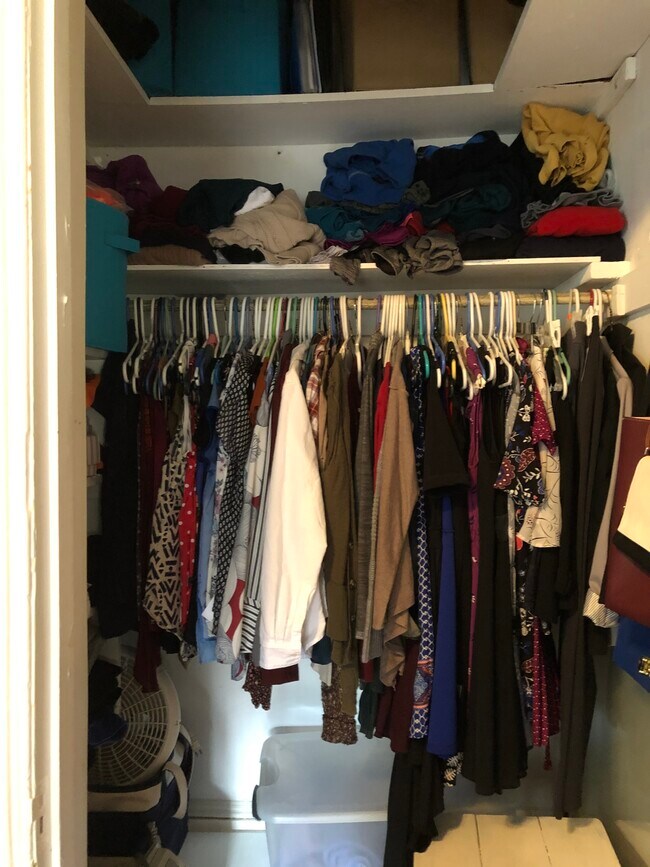 Large Closet (photo taken recently) - 408 Hamilton St