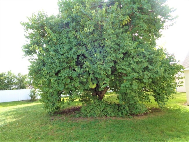 Building Photo - 5855 22nd St