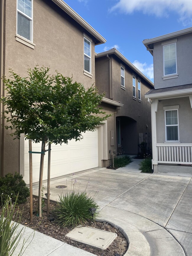 Building Photo - 3925 Lookout Dr