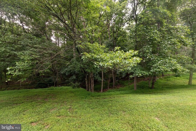 Building Photo - 17 Peach Leaf Ct