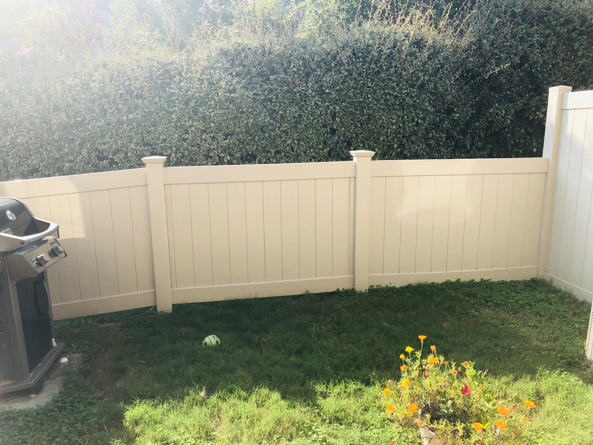 Fenced back yard - 6417 Swatner Drive