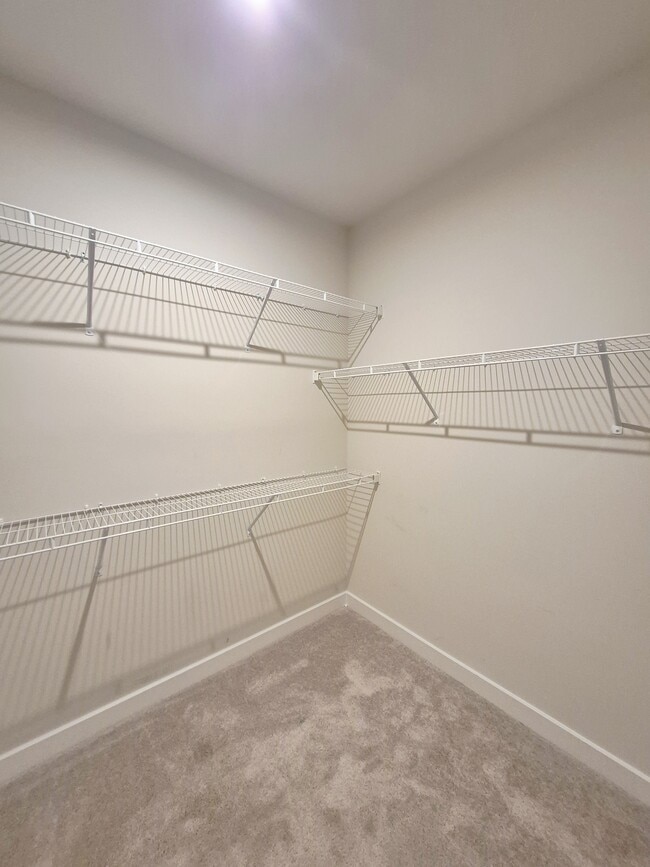 Building Photo - 3700 Maze Runner Dr
