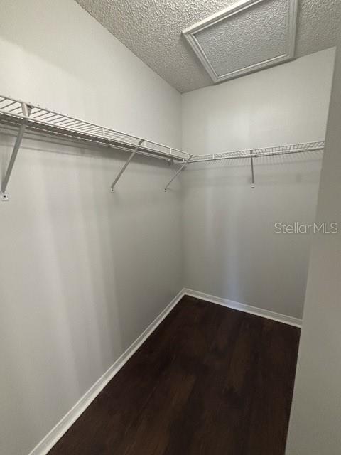 Building Photo - 708 Secret Harbor Ln