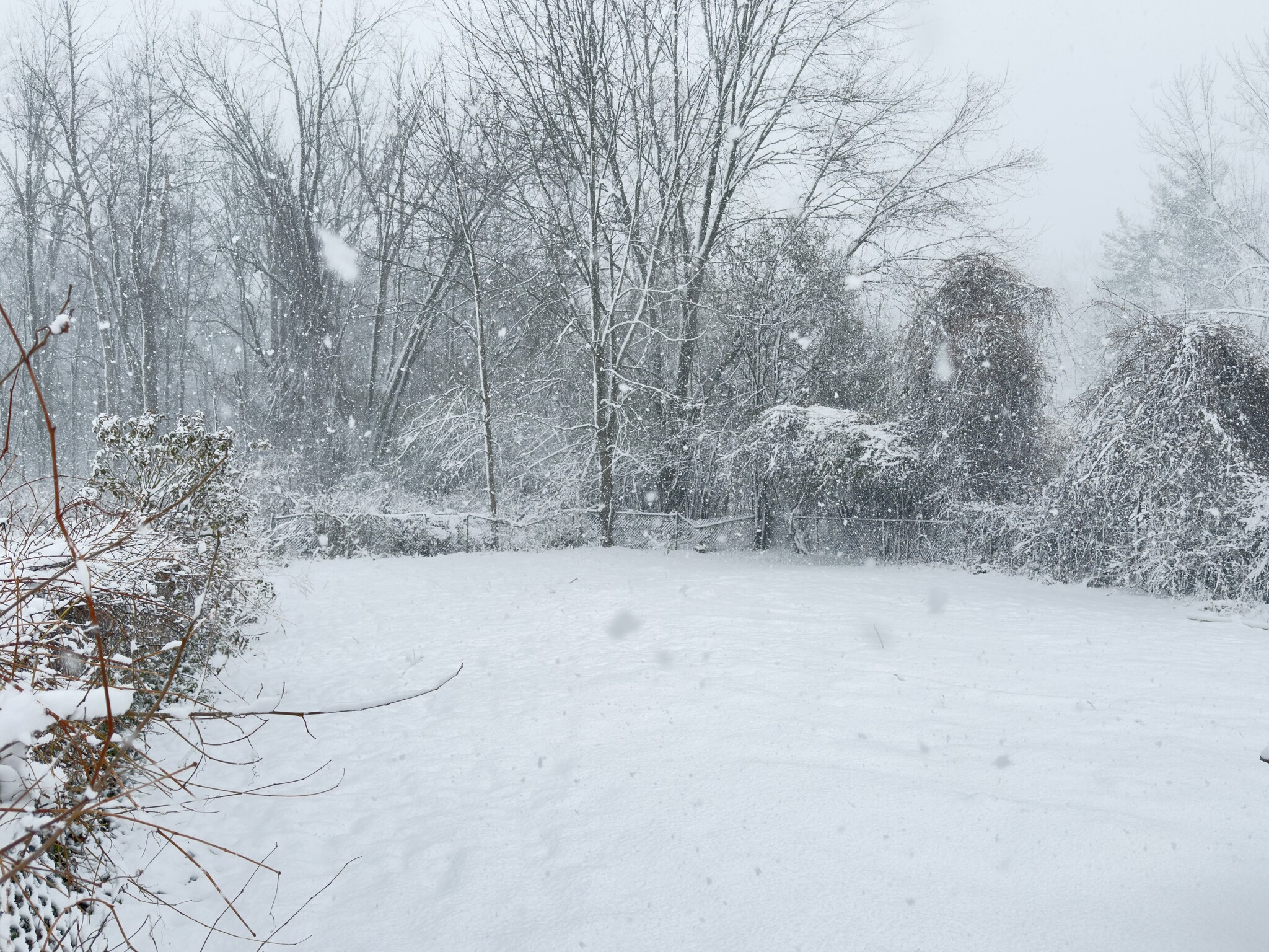 Yard - 5009 Hopkins Rd