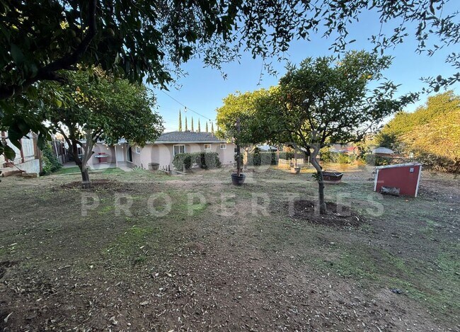 Building Photo - 440 Chestnut Ln