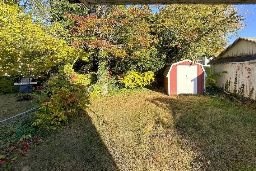 Backyard - 509 Orchard Ave