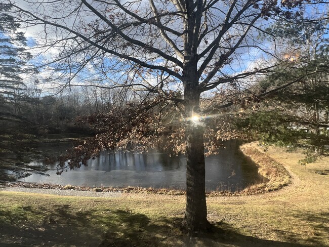 View of pond - 59 Parsons Pond Dr